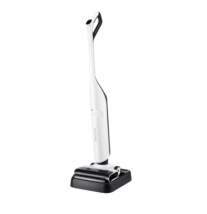 Roborock Flexi Lite