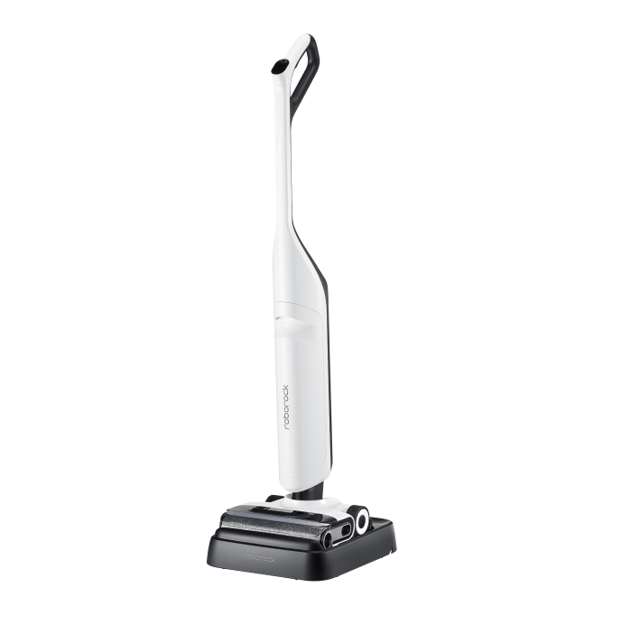 Roborock Flexi Pro